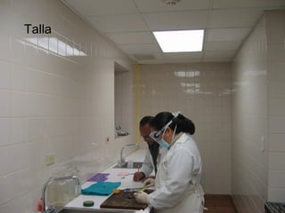 Talla
 