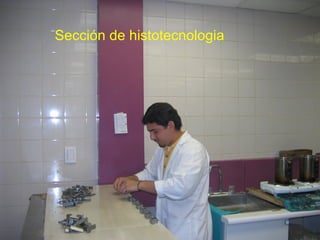 Sección de histotecnologia
 