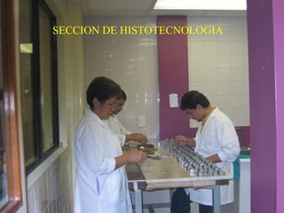 SECCION DE HISTOTECNOLOGIA
 