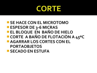  SE HACE CON EL MICROTOMO
 ESPESOR DE 3-6 MICRAS
 EL BLOQUE EN BAÑO DE HIELO
 CORTE A BAÑO DE FLOTACIÒN A 45ºC
 AGARRAR LOS CORTES CON EL
  PORTAOBJETOS
 SECADO EN ESTUFA
 