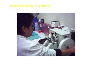 DESVASTADO Y CORTE
 