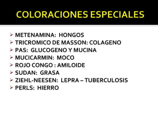  METENAMINA: HONGOS
 TRICROMICO DE MASSON: COLAGENO
 PAS: GLUCOGENO Y MUCINA
 MUCICARMIN: MOCO
 ROJO CONGO : AMILOIDE
 SUDAN: GRASA
 ZIEHL-NEESEN: LEPRA – TUBERCULOSIS
 PERLS: HIERRO
 