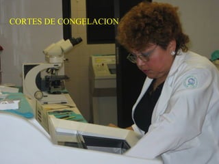 CORTES DE CONGELACION
 