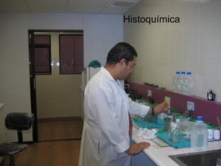 Histoquímica
 