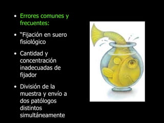 Errores comunes y frecuentes: “ Fijación en suero fisiológico Cantidad y concentración inadecuadas de fijador División de la muestra y envío a dos patólogos distintos simultáneamente  