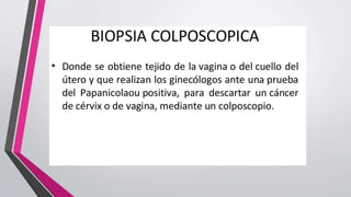 Biopsia