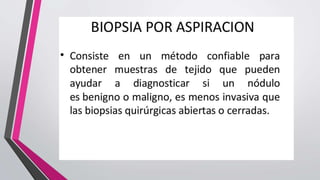 Biopsia