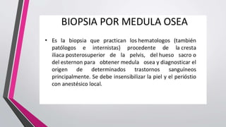 Biopsia