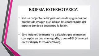 Biopsia