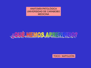 ANATOMÌA PATOLÒGICA
UNIVERSIDAD DE CARABOBO
MEDICINA
TOCCI NAPOLEÒN
 