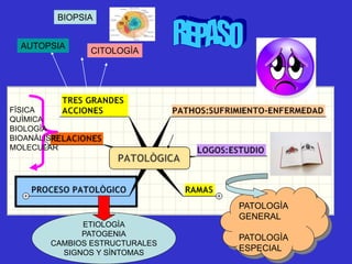 AUTOPSIA
BIOPSIA
CITOLOGÌA
PATOLOGÌA
GENERAL
PATOLOGÌA
ESPECIAL
ETIOLOGÌA
PATOGENIA
CAMBIOS ESTRUCTURALES
SIGNOS Y SÌNTOMAS
FÌSICA
QUÌMICA
BIOLOGÌA
BIOANÀLISIS
MOLECULAR
 