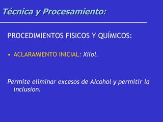 Técnica y Procesamiento:
PROCEDIMIENTOS FISICOS Y QUÍMICOS:
• ACLARAMIENTO INICIAL: Xilol.
Permite eliminar excesos de Alcohol y permitir la
inclusion.
 