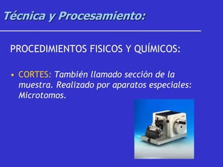Técnica y Procesamiento:
PROCEDIMIENTOS FISICOS Y QUÍMICOS:
• CORTES: También llamado sección de la
muestra. Realizado por aparatos especiales:
Microtomos.
 