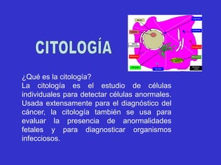 ¿Qué es la citología?
La citología es el estudio de células
individuales para detectar células anormales.
Usada extensamente para el diagnóstico del
cáncer, la citología también se usa para
evaluar la presencia de anormalidades
fetales y para diagnosticar organismos
infecciosos.
 