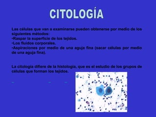 Las células que van a examinarse pueden obtenerse por medio de los
siguientes métodos:
•Raspar la superficie de los tejidos.
•Los fluidos corporales.
•Aspiraciones por medio de una aguja fina (sacar células por medio
de una aguja fina).
La citología difiere de la histología, que es el estudio de los grupos de
células que forman los tejidos.
 