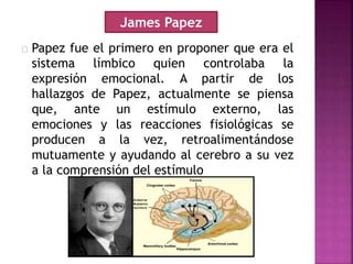 Papez fue el primero en proponer que era el
sistema límbico quien controlaba la
expresión emocional. A partir de los
hallazgos de Papez, actualmente se piensa
que, ante un estímulo externo, las
emociones y las reacciones fisiológicas se
producen a la vez, retroalimentándose
mutuamente y ayudando al cerebro a su vez
a la comprensión del estímulo
James Papez
 
