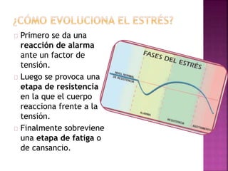 Primero se da una
reacción de alarma
ante un factor de
tensión.
Luego se provoca una
etapa de resistencia
en la que el cuerpo
reacciona frente a la
tensión.
Finalmente sobreviene
una etapa de fatiga o
de cansancio.
 