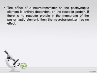 • The effect of a neurotransmitter on the postsynaptic
element is entirely dependent on the receptor protein. If
there is no receptor protein in the membrane of the
postsynaptic element, then the neurotransmitter has no
effect.
 