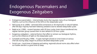 AQA Psychology A Level Revision Cards - Biopsychology Topic | PPTX