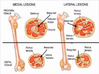 Freih Abu Hassan 
Jordan University  