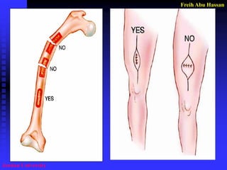 Freih Abu Hassan 
Jordan University  