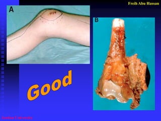 Freih Abu Hassan 
Jordan University  