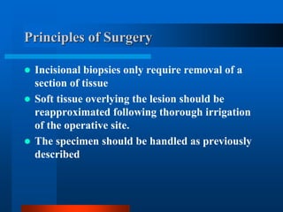 Principles of Surgery
 Incisional biopsies only require removal of a
section of tissue
 Soft tissue overlying the lesion should be
reapproximated following thorough irrigation
of the operative site.
 The specimen should be handled as previously
described
 