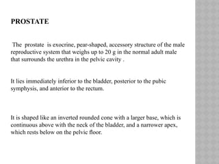 Biopsy interpretation of prostate disease | PPTX