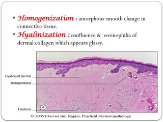 Dermal Homogenization BIOPSY,STAINS & CYTODIAGNOSIS IN DERMATOLOGY.pptx