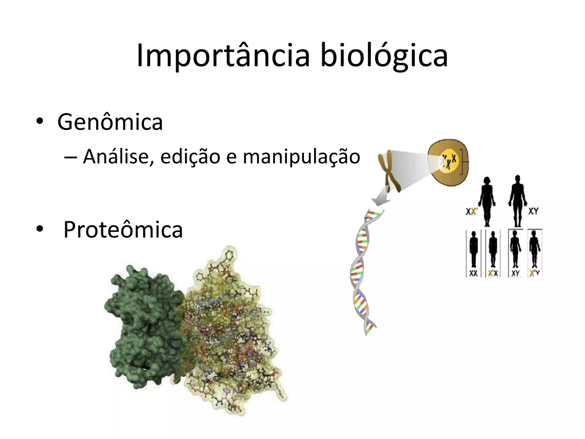 Importância biológica • Genômica – Análise, edição e manipulação • Proteômica 