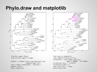 Phylo.draw and matplotlib
 