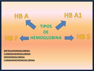 METALOHEMOGLOBINA
CARBOXIHEMOGLOBINA
OXIHEMOGLOBINA
CARBAMINOHEMOGLOBINA

 