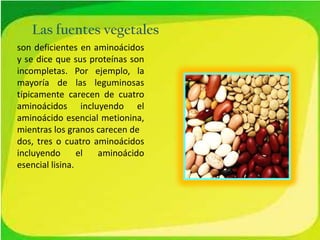 Las fuentes vegetales
son deficientes en aminoácidos
y se dice que sus proteínas son
incompletas. Por ejemplo, la
mayoría de las leguminosas
típicamente carecen de cuatro
aminoácidos incluyendo el
aminoácido esencial metionina,
mientras los granos carecen de
dos, tres o cuatro aminoácidos
incluyendo
el
aminoácido
esencial lisina.

 