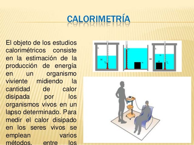 Más en metabolismo de lipoproteinas