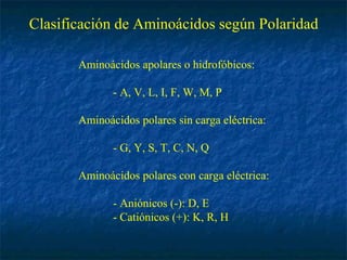 Aminoácidos apolares o hidrofóbicos:
- A, V, L, I, F, W, M, P
Aminoácidos polares sin carga eléctrica:
- G, Y, S, T, C, N, Q
Aminoácidos polares con carga eléctrica:
- Aniónicos (-): D, E
- Catiónicos (+): K, R, H
Clasificación de Aminoácidos según Polaridad
 
