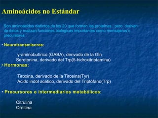 Aminoácidos no Estándar
Son aminoácidos distintos de los 20 que forman las proteínas , pero derivan
de éstos y realizan funciones biológicas importantes como mensajeros o
precursores .
• Neurotransmisores:
γ-aminobutírico (GABA), derivado de la Gln
Serotonina, derivado del Trp(5-hidroxitriptamina)
• Hormonas:
Tiroxina, derivado de la Tirosina(Tyr)
Acido indol acético, derivado del Triptófano(Trp)
• Precursores e intermediarios metabólicos:
Citrulina
Ornitina
 