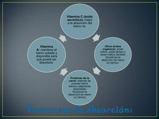 Vitamina C (ácido
ascórbico): mejor
a la absorción del
hierro no

Otros ácidos
orgánicos: ácido
cítrico, ácido láctico y
ácido málico también
benefician la
absorción de hierro
no hémico.

Vitamina
A: mantiene al
hierro soluble y
disponible para
que pueda ser
absorbido

Proteínas de la
carne: además de
proveer hierro
hémico (altamente
absorbible)
favorecen la
absorción de hierro
no hémico

 