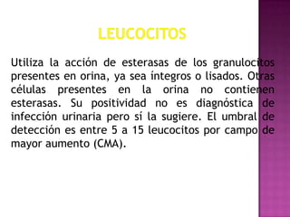 Utiliza la acción de esterasas de los granulocitos
presentes en orina, ya sea íntegros o lisados. Otras
células presentes en la orina no contienen
esterasas. Su positividad no es diagnóstica de
infección urinaria pero sí la sugiere. El umbral de
detección es entre 5 a 15 leucocitos por campo de
mayor aumento (CMA).

 