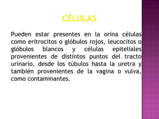 Pueden estar presentes en la orina células
como eritrocitos o glóbulos rojos, leucocitos o
glóbulos blancos y células epiteliales
provenientes de distintos puntos del tracto
urinario, desde los túbulos hasta la uretra y
también provenientes de la vagina o vulva,
como contaminantes.

 