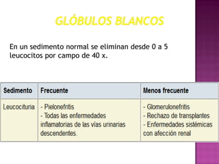 En un sedimento normal se eliminan desde 0 a 5
leucocitos por campo de 40 x.

 