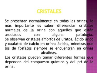 Se presentan normalmente en todas las orinas, lo
más importante es saber diferenciar cristales
normales de la orina con aquellos que están
asociados
con
alguna
patología.
Se observan cristales amorfos de uratos, ácido úrico
y oxalatos de calcio en orinas ácidas, mientras que
los de fosfatos siempre se encuentran en orinas
alcalinas.
Los cristales pueden tomar diferentes formas que
dependen del compuesto químico y del pH de la
orina.

 