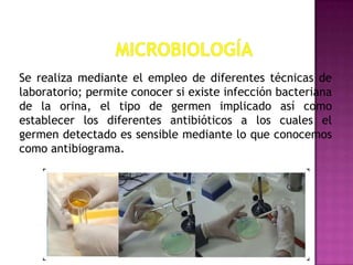 Se realiza mediante el empleo de diferentes técnicas de
laboratorio; permite conocer si existe infección bacteriana
de la orina, el tipo de germen implicado así como
establecer los diferentes antibióticos a los cuales el
germen detectado es sensible mediante lo que conocemos
como antibiograma.

 
