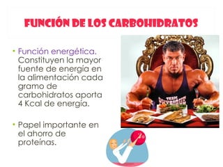 FUNCIÓN DE LOS CARBOHIDRATOS

• Función energética.
  Constituyen la mayor
  fuente de energía en
  la alimentación cada
  gramo de
  carbohidratos aporta
  4 Kcal de energía.

• Papel importante en
  el ahorro de
  proteínas.
 