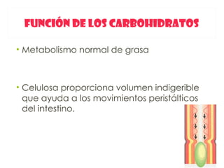 FUNCIÓN DE LOS CARBOHIDRATOS

• Metabolismo normal de grasa



• Celulosa proporciona volumen indigerible
  que ayuda a los movimientos peristálticos
  del intestino.
 