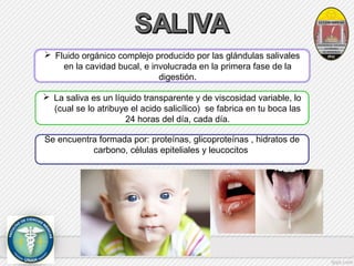  Fluido orgánico complejo producido por las glándulas salivales 
en la cavidad bucal, e involucrada en la primera fase de la 
digestión. 
 La saliva es un líquido transparente y de viscosidad variable, lo 
(cual se lo atribuye el acido salicílico) se fabrica en tu boca las 
24 horas del día, cada día. 
Se encuentra formada por: proteínas, glicoproteínas , hidratos de 
carbono, células epiteliales y leucocitos 
 