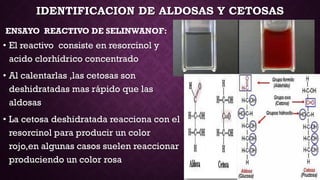 IDENTIFICACION DE ALDOSAS Y CETOSAS
ENSAYO REACTIVO DE SELINWANOF:

• El reactivo consiste en resorcinol y
acido clorhídrico concentrado
• Al calentarlas ,las cetosas son
deshidratadas mas rápido que las
aldosas
• La cetosa deshidratada reacciona con el
resorcinol para producir un color
rojo,en algunas casos suelen reaccionar
produciendo un color rosa

 