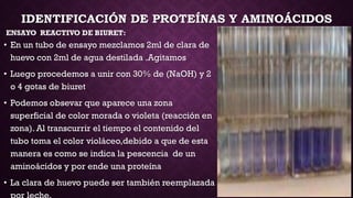 IDENTIFICACIÓN DE PROTEÍNAS Y AMINOÁCIDOS
ENSAYO REACTIVO DE BIURET:

• En un tubo de ensayo mezclamos 2ml de clara de
huevo con 2ml de agua destilada .Agitamos

• Luego procedemos a unir con 30% de (NaOH) y 2
o 4 gotas de biuret
• Podemos obsevar que aparece una zona
superficial de color morada o violeta (reacción en
zona). Al transcurrir el tiempo el contenido del
tubo toma el color violáceo,debido a que de esta
manera es como se indica la pescencia de un
aminoácidos y por ende una proteína
• La clara de huevo puede ser también reemplazada

 