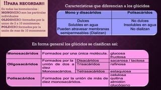 !!PARA RECORDAR!!
En todas las biomoleculas :
MONOMERO:son las partículas
individuales
OLIGOMERO: formados por la
union de 2 a 10 monómeros.
POLIMERO:formados por la
unión de mas de 10 monomeros

Características que diferencian a los glúcidos:

En forma general los glúcidos se clasifican así:

 