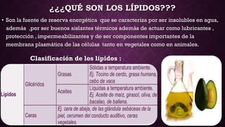 ¿¿¿QUÉ SON LOS LÍPIDOS???
• Son la fuente de reserva energética que se caracteriza por ser insolubles en agua,
además ,por ser buenos aislantes térmicos además de actuar como lubricantes ,
protección , impermeabilizantes y de ser componentes importantes de la
membrana plasmática de las células tanto en vegetales como en animales.

Clasificación de los lípidos :

 