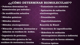 ¿¿CÓMO DETERMINAR BIOMOLECULAS??
• Podemos determinar las
biomoleculas por métodos :

• Tratamiento con aldehídos

• De modificación selectiva

• Aplicación de radiación
electromagnética.

• Métodos químicos

• Fotooxidación

• Métodos clásicos

• Espectrofotometría

• Métodos electroquímicos:

Reacción de Biuret

Nitración ,cloración ,bromacion y
iodacion en residuos de ácidos.

• Reacciones de saponificación

• Ingeniería de proteínas.
• Modificación química de los
residuos de metionina y tirosina

• Hidrolisis de oxidación
electroquímica (directa o indirecta)
• Microscopía de fuerza atómica.
• Técnicas ópticas

 